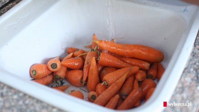 Video Reference N2: Food, Carrot, Baby carrot, Cuisine, Dish, Root vegetable, Vegetable, Produce, Ingredient, wild carrot