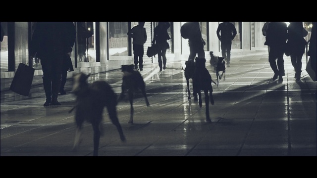 Video Reference N4: Black, People, Street, Snapshot, Pedestrian, Black-and-white, Shadow, Sky, Standing, Human