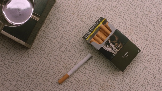 Video Reference N0: Cigarette, Tobacco products, Smoking, Chopsticks, Ashtray, Material property