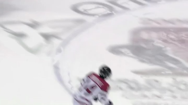 Video Reference N1: Ice hockey, Ice hockey position, Snow, Geological phenomenon, Sports gear, Team sport, Hockey, Sledge hockey, Sports, Sports equipment