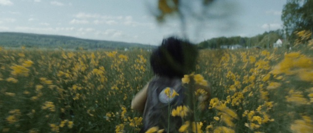 Video Reference N2: People in nature, Yellow, Rapeseed, Field, Mustard plant, Mustard, Plant, Flower, Canola, Meadow