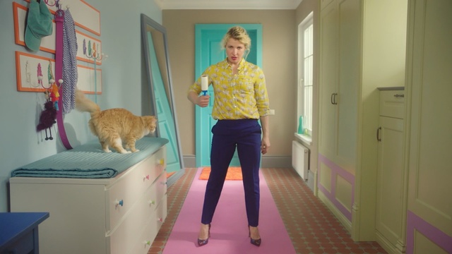 Video Reference N3: Yellow, Standing, Cat, Room, Felidae, Fawn, Small to medium-sized cats