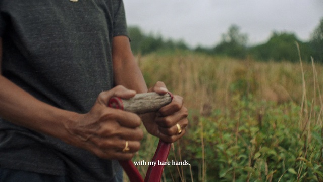 Video Reference N0: Hand, Grass family, Grass, Adaptation