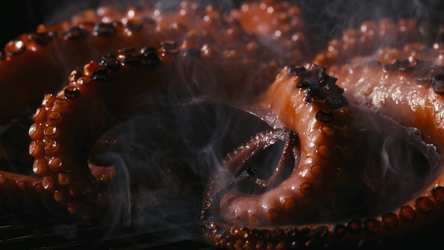 Video Reference N1: Octopus, giant pacific octopus, Cephalopod, Marine invertebrates, millipedes, Macro photography, Cuisine