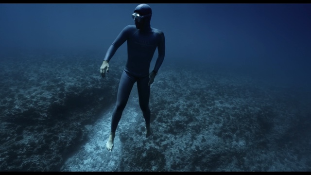 Video Reference N7: water, underwater diving, freediving, underwater, sea, atmosphere, diving, ocean, screenshot, sky, Person