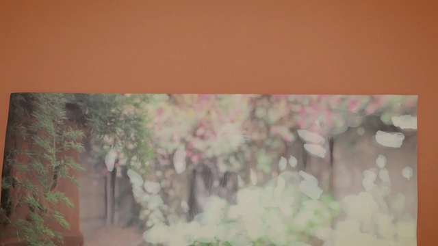 Video Reference N4: Pink, Green, Wall, Tree, Room, Watercolor paint, Painting, Textile, Plant, Paint, Person