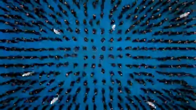 Video Reference N0: blue, water, sky, atmosphere, marine biology, organism, symmetry, underwater, line, computer wallpaper