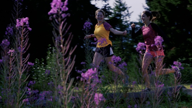 Video Reference N0: Flower, Lavender, Purple, Plant, Garden, Flowering plant, Violet, Botany, Spring, Outdoor, Person, Grass, Girl, Woman, Pink, Young, Playing, Standing, Man, Holding, Little, Field, Riding, Green, People, Ball, Wearing, Walking, Group, Hill, Game, Frisbee, Grassy, Bear, White, Tree
