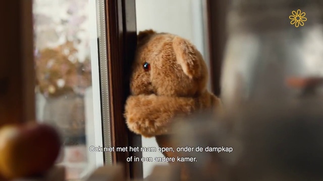 Video Reference N1: Teddy bear, Toy, Stuffed toy, Snout, Plush, Organism, Photography, Photo caption, Fawn