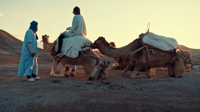 Video Reference N1: Camel, Camelid, Arabian camel, Herd, Mode of transport, Desert, Adaptation, Pack animal, Landscape, Ecoregion