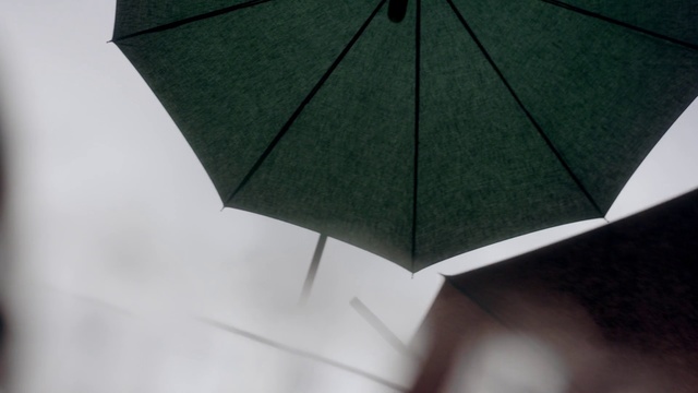 Video Reference N3: Umbrella, Green, Leaf, Fashion accessory, Material property, Origami, Shade, Paper, Art