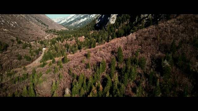 Video Reference N2: nature, wilderness, vegetation, ecosystem, mountainous landforms, tree, nature reserve, mountain, sky, forest