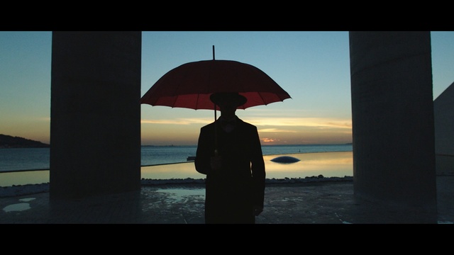 Video Reference N2: Umbrella, Sky, Sea, Ocean, Snapshot, Horizon, Sunset, Water, Backlighting, Silhouette, Person