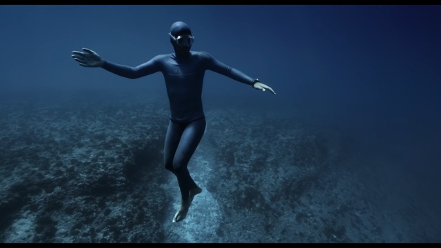 Video Reference N0: underwater, atmosphere, water, sky, darkness, screenshot, freediving, organism, diving, underwater diving