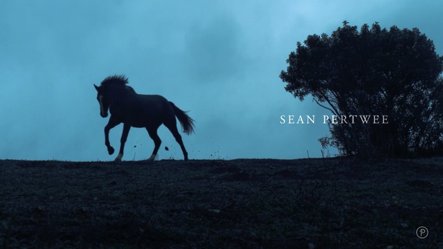 Video Reference N1: sky, horse, horse like mammal, tree, stallion, mane, mustang horse, darkness, atmosphere, grass, Person