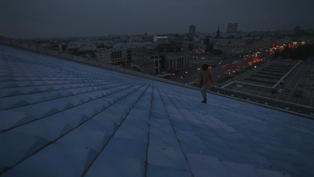 Video Reference N1: sky, landmark, roof, urban area, structure, light, atmosphere, architecture, morning, metropolitan area