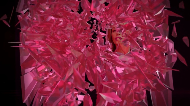 Video Reference N3: Pink, Red, Magenta, Organism, Plant, Textile, Petal, Glass, Crystal, Flower, Person