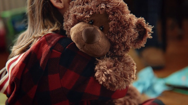 Video Reference N10: Teddy bear, Stuffed toy, Toy, Fun, Plush, Bear, Fur, Smile