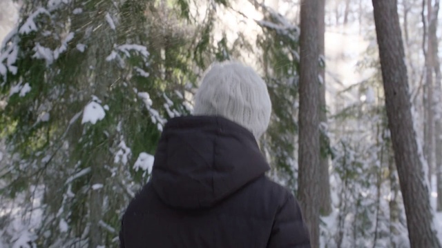 Video Reference N1: Tree, Winter, Forest, Snow, Branch, Headgear, Outerwear, Cap, Freezing, Photography