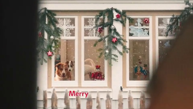 Video Reference N11: Christmas decoration, Christmas tree, Christmas, Window, Tree, Christmas ornament, Room, Home, Interior design, Interior design