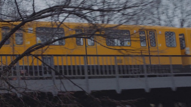 Video Reference N5: Transport, Mode of transport, Vehicle, Train, Rolling stock, Yellow, Railroad car, Track, Tree, Railway