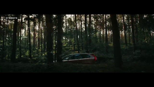 Video Reference N0: Nature, Woodland, Natural environment, Forest, Tree, World rally championship, Vehicle, Mode of transport, Car, Rallying