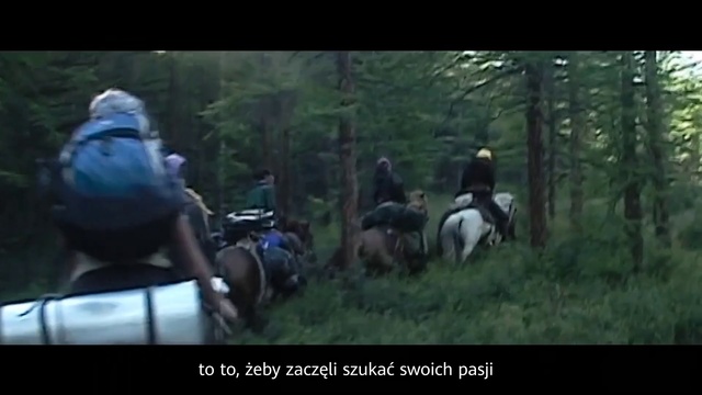 Video Reference N1: Horse, Trail riding, Outdoor recreation, Equestrian sport, Recreation, Forest, Animal sports, Stallion, Horse harness, Woodland