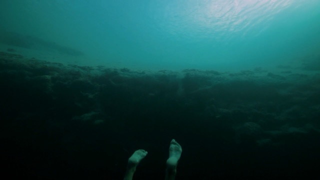 Video Reference N19: underwater, underwater diving, sea, freediving, scuba diving, water, marine biology, ocean, diving, aquanaut