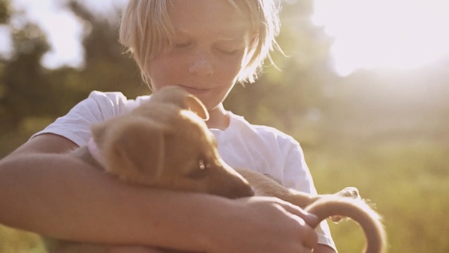 Video Reference N3: Child, Ear, Sporting Group, Sunlight, Toddler, Companion dog, Drinkware, Puppy love, Canidae, Dog breed