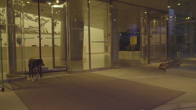 Video Reference N3: Glass, Building, Architecture, Night, Door, Interior design