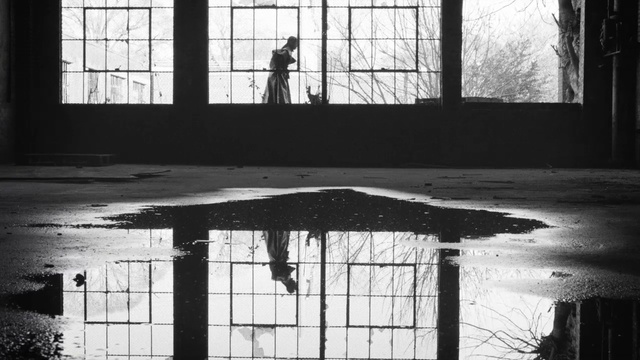 Video Reference N8: Monochrome, Black-and-white, Monochrome photography, Window, Shadow, Architecture, Photography, Building, Tints and shades, Reflection