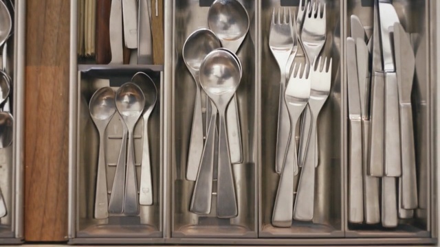 Video Reference N2: cutlery, tableware, furniture, fork, product, Person