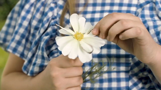 Video Reference N1: Petal, Hand, Nail, Flower, Finger, Plant, Gesture, Wildflower, Thumb