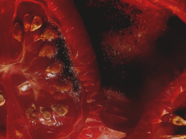Video Reference N2: Red, Macro photography, Organism, Close-up, Art, Flesh, Photography, Geological phenomenon, Plant, Still life photography