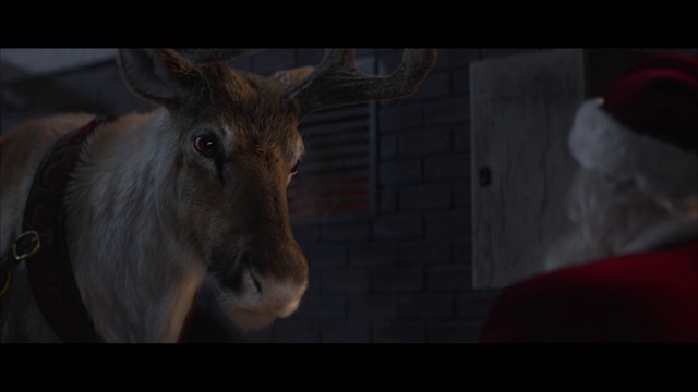 Video Reference N3: Wildlife, Darkness, Deer, Snout, Goats, Fictional character, Reindeer, Fiction