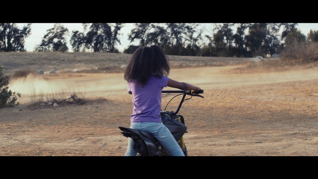 Video Reference N1: sky, girl, tree, photography, soil, sand, morning, grass, sunlight, fun