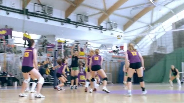 Video Reference N4: Sports, Volleyball, Volleyball, Volleyball player, Volleyball net, Net sports, Sport venue, Team sport, Tournament, Ball game