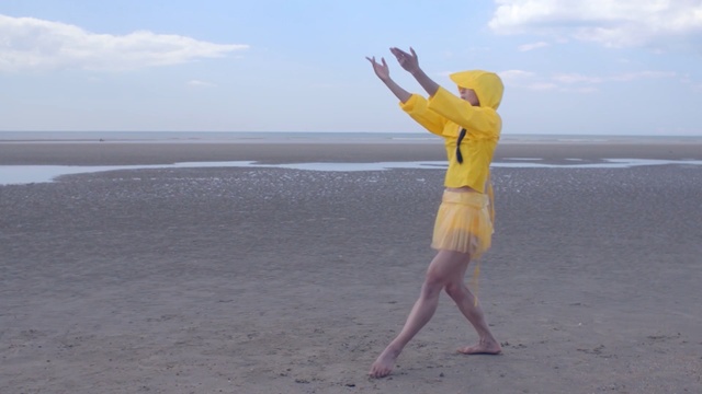 Video Reference N2: yellow, sea, vacation, beach, sky, sand, summer, fun, coastal and oceanic landforms, ocean