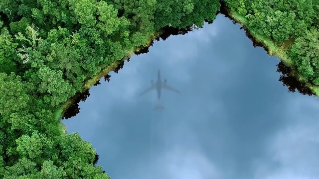 Video Reference N1: water, green, nature, vegetation, water resources, nature reserve, sky, leaf, tree, reflection