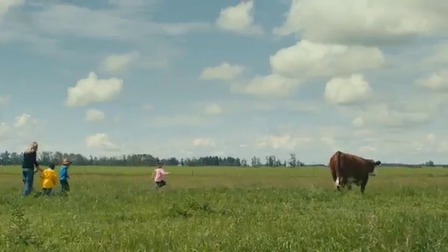 Video Reference N2: grassland, pasture, grazing, ecosystem, field, prairie, farm, cattle like mammal, meadow, grass, Person