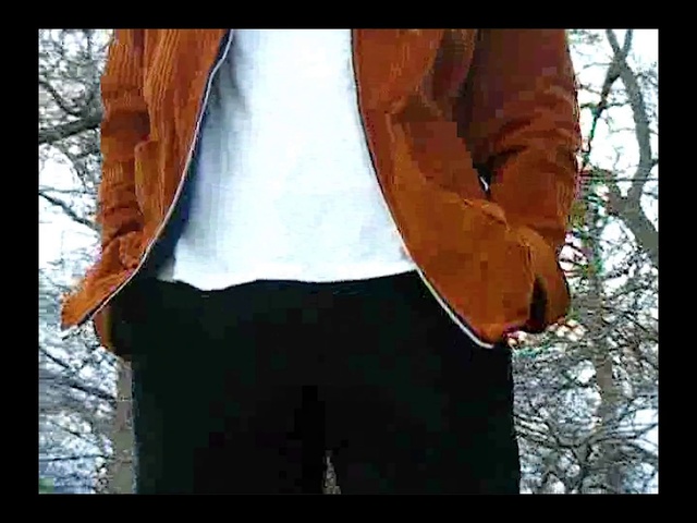 Video Reference N0: Tree, Leaf, Jacket, Outerwear, Plant