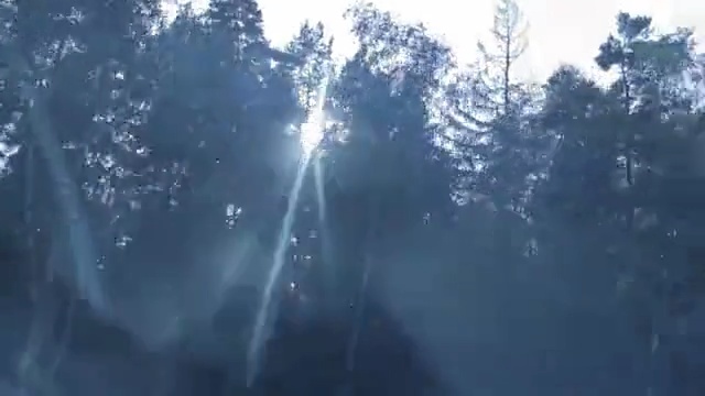 Video Reference N1: Nature, Atmospheric phenomenon, Sunlight, Sky, Light, Natural environment, Atmosphere, Water, Forest, Tree