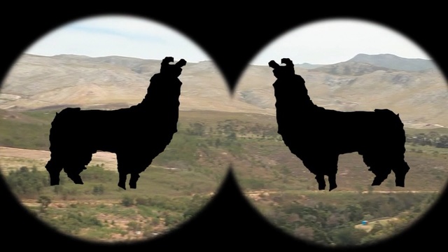 Video Reference N0: camel like mammal, llama, livestock, alpaca, sky, silhouette, pasture, Person