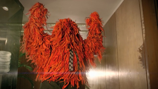 Video Reference N1: Orange, Textile, Plant, Scarf, Art, Person