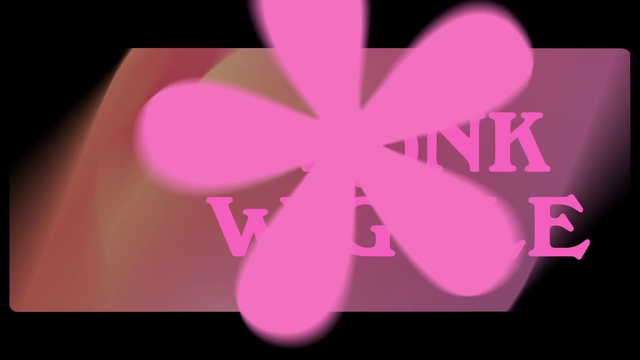 Video Reference N0: Pink, Magenta, Font, Petal, Material property, Plant, Flower, Graphics, Graphic design
