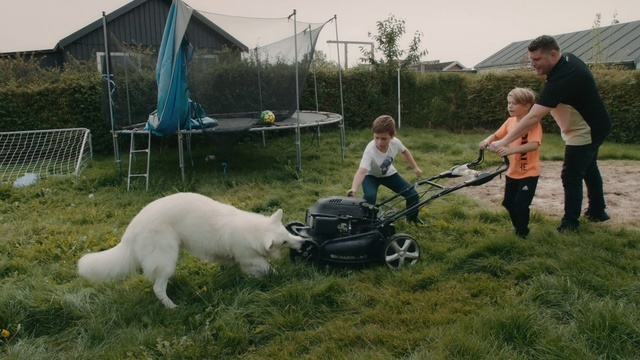 Video Reference N1: Canidae, Dog, Grass, Lawn, Berger blanc suisse, Vehicle, Carnivore, White shepherd, Guard dog, Dog breed