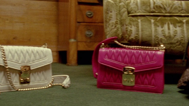Video Reference N4: Pink, Bag, Magenta, Purple, Handbag, Fashion accessory, Material property, Coin purse, Leather, Room