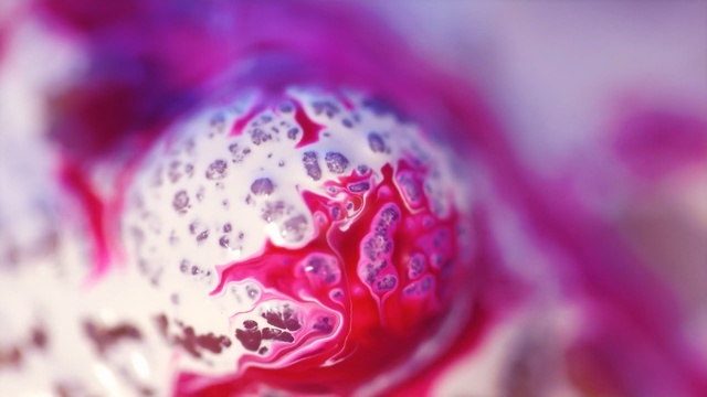 Video Reference N23: Water, Macro photography, Close-up, Pink, Petal, Purple, Flower, Plant, Organism, Dew, Person
