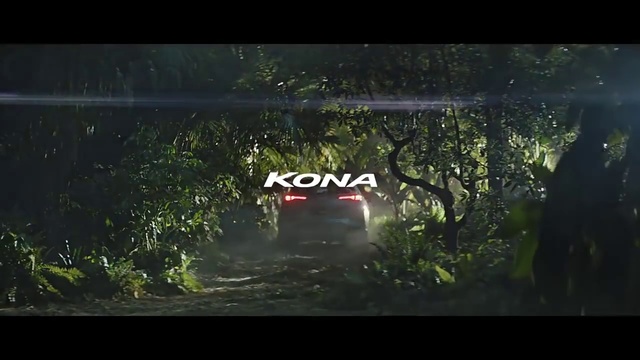 Video Reference N5: Nature, Natural environment, Light, Morning, World rally championship, Water, Woodland, Forest, Sunlight, Rallying