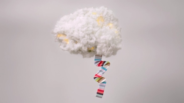 Video Reference N5: White, Baby toys, Cut flowers, Cloud, Plant, Pom-pom, Flower, Meteorological phenomenon